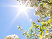 治愈的优美句子