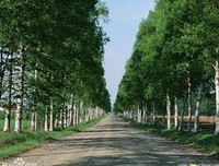 最新的《写给权敏雪的诗篇》经典句子