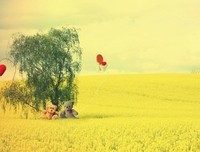 最新的《我站在桥上看风景》经典句子