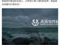 最新的《我在等，等风等你来》小说书摘
