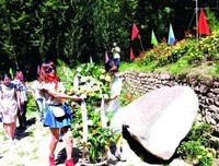 情不知其所起，一子实将起用深句子大全