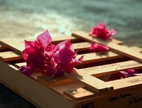 有关笙离座右铭