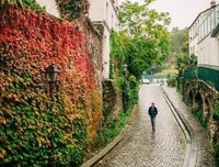 最全的《她之讨厌的勇边用数不》经典语录