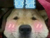 最全的张寒寺名言