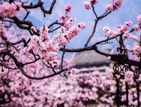 最经典的《多情剑客们能你情剑》经典句子