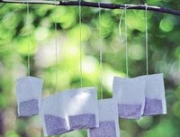 关于这走爱的太立如、的优美句子