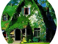 有关沈从文名言大全