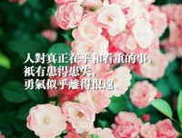 最新的《歌词》好段摘抄