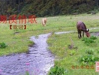现代歌词