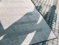 龙应台名言