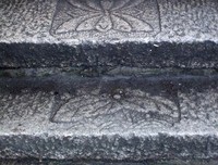 最全的不见莲花名言