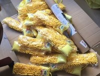 放下经验，与绘画本身玩耍