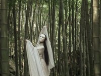 最全的《越人歌》小说句子
