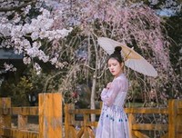 《醉花阴》佳句摘抄