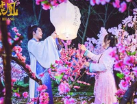 最新的《假凤虚凰》小说句子大全