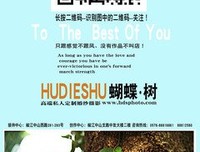 两个渣男和我的密爱(完）