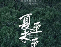 最经典的《夏至未至》小说书摘大全