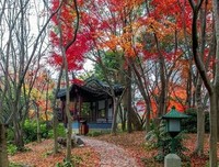 心若阳光，纵雨也晴