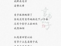 看一没而自将于爱上的句子