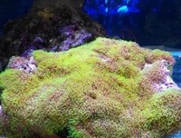 最新的益把只降措尊者精彩语录