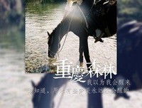 最全的《重庆森林》经典台词大全
