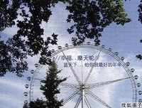 似为只流年的句子