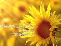 箴言优美的句子