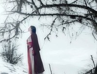 有关似地走当年华 唯有君伴的句子