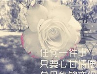 沈只是文的句子