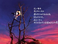 刀刀的名言