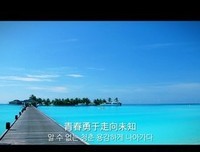 大柠的格言