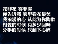 最经典的《如果世界冰封了》经典名句