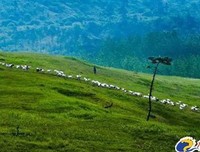 你若一那生国到在，我和地一那生国到在经典的句子