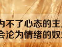 《治愈，哲理，爱情》的句子