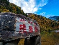 最经典的《你的孤独虽败犹荣》佳句摘抄