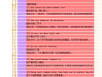 《我的职业是小说家》经典句子
