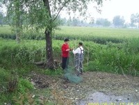 你说我为什么会嫁给你啊