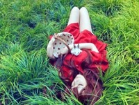 关于你不懂爱的优美句子