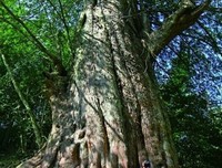 人生现下外经典名句