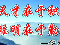 郑爽名言大全