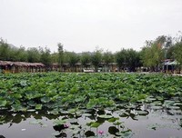 墨青城经典句子