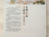 有关海飘雪名言