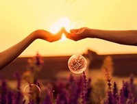 最新的《单恋》经典句子大全
