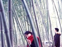 最新的《春逝》佳句摘抄大全