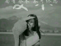 乔木句子大全