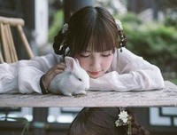 关于东奔西顾的名言