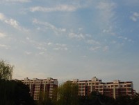 最经典的凌乱柠殇经典句子