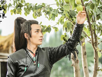 最全的《边城》小说摘抄