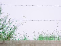 有关吕不韦座右铭