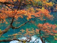 海莲·汉芙经典名句